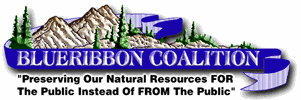 Blue Ribbon Coalition